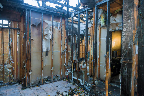Professional Fire Damage Removal technician working in Spicer, MN